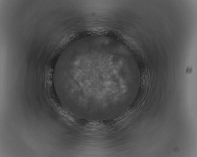 X0000092321346200710121514