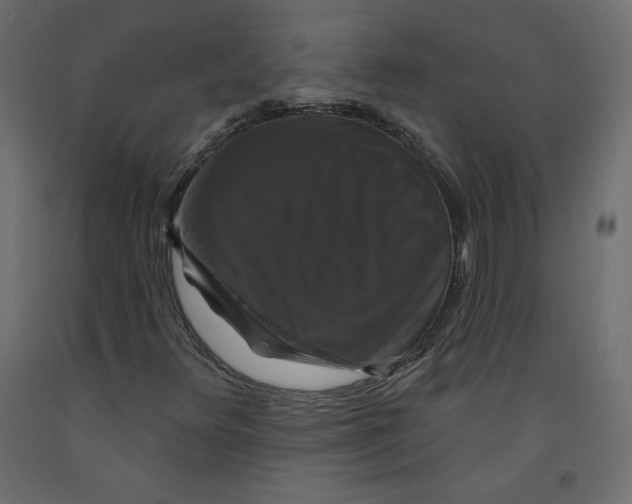 X0000092321348200710121514