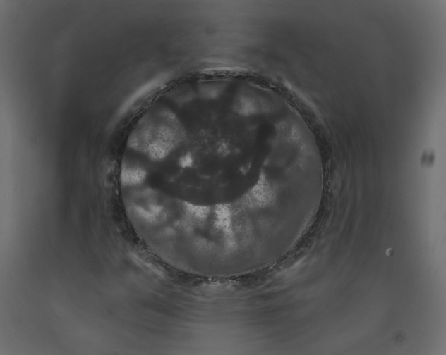 X0000092321351200710121514