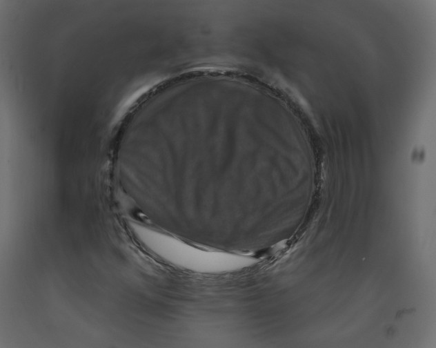 X0000092321352200710121514
