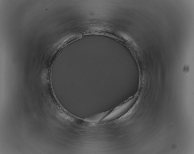 X0000092321353200710121514