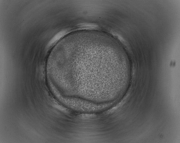 X0000092321354200710121514