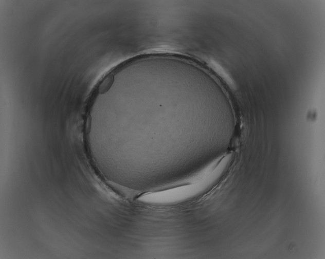 X0000092321356200710121514
