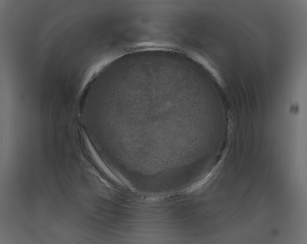 X0000092321357200710121514