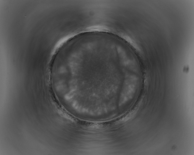 X0000092321358200710121514