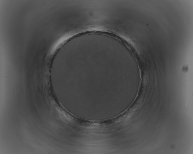 X0000092321359200710121514