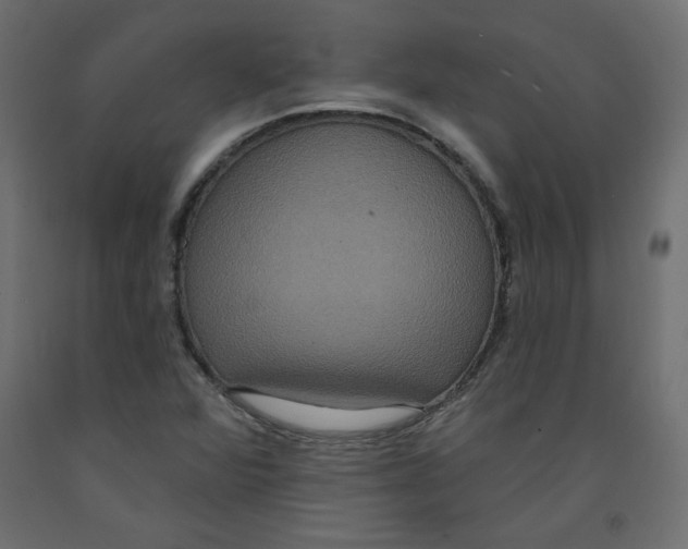 X0000092321360200710121514