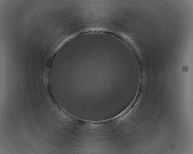 X0000092321361200710121514