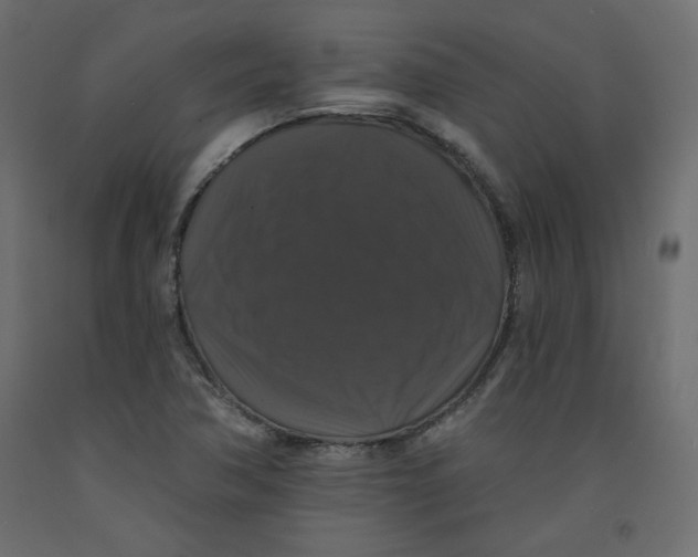 X0000092321362200710121514