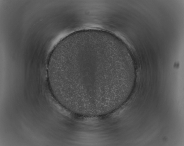 X0000092321363200710121514