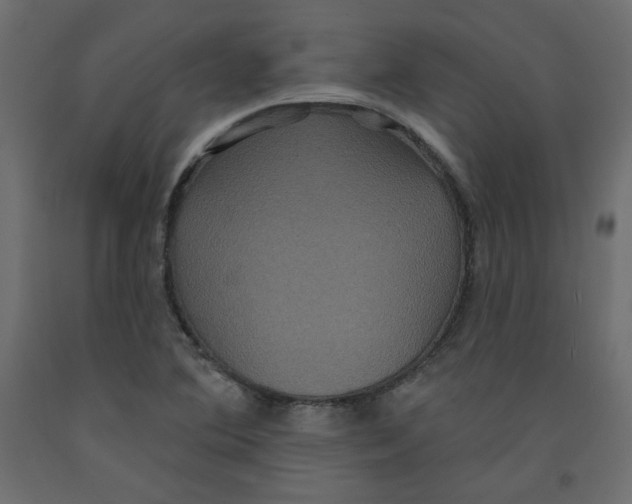 X0000092321364200710121514