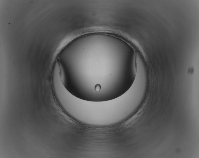 X0000092321365200710121514