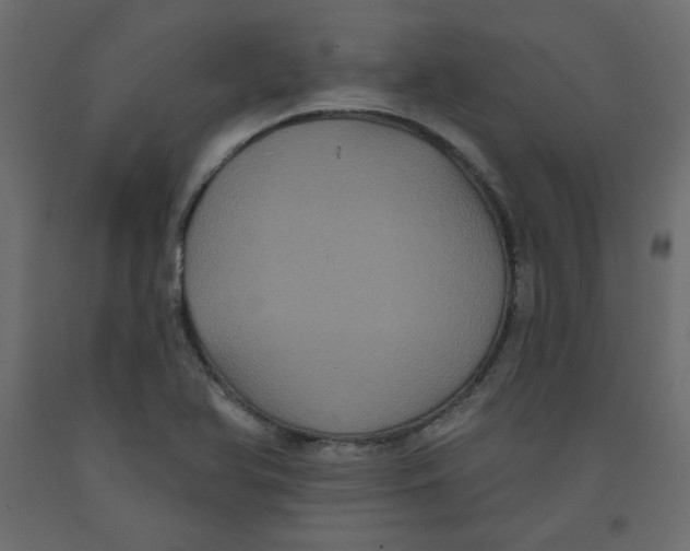 X0000092321366200710121514