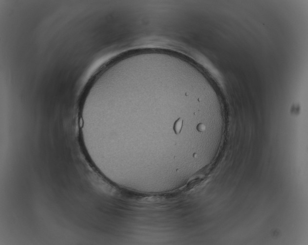 X0000092321368200710121514