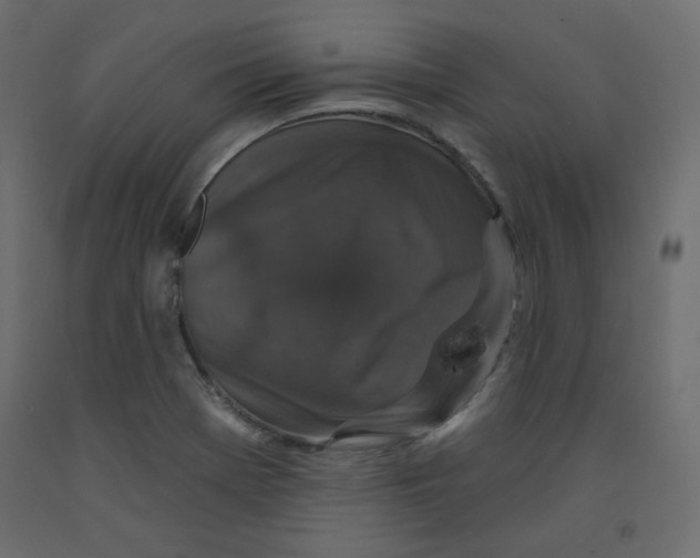 X0000092321369200710121514