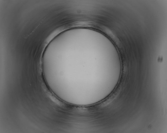 X0000092321370200710121514