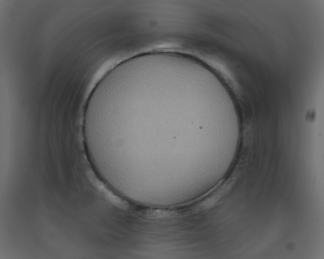 X0000092321374200710121514