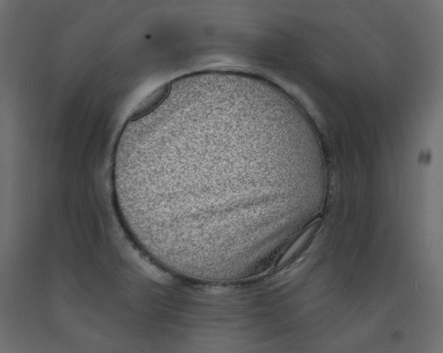 X0000092321375200710121514