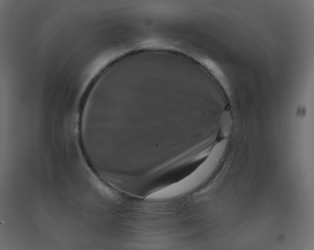 X0000092321376200710121514