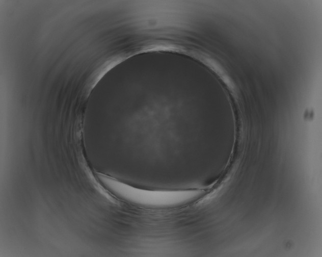 X0000092321377200710121514