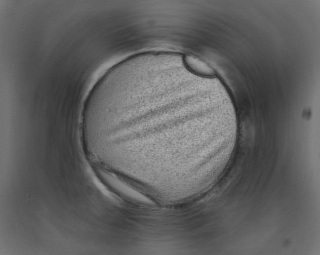 X0000092321379200710121514