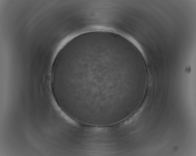 X0000092321381200710121514