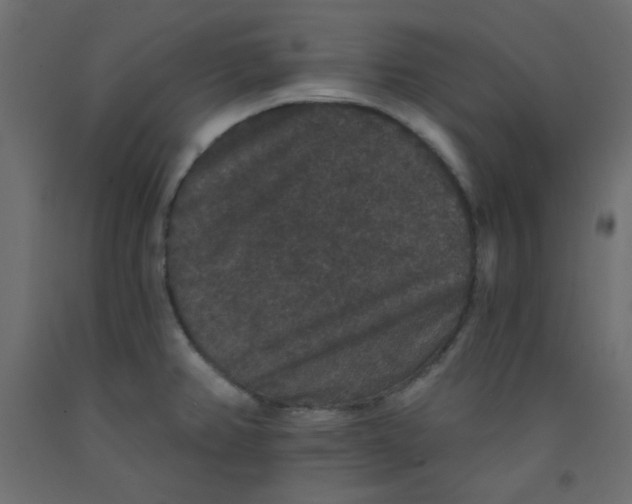 X0000092321382200710121514