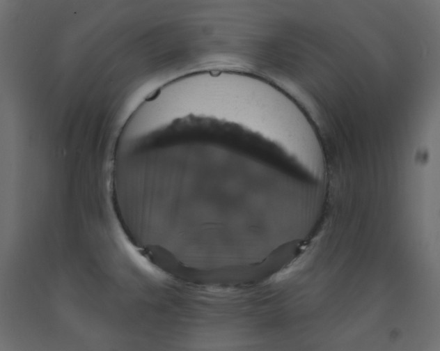 X0000092321383200710121514