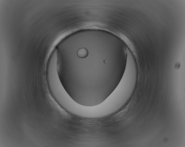 X0000092321384200710121514