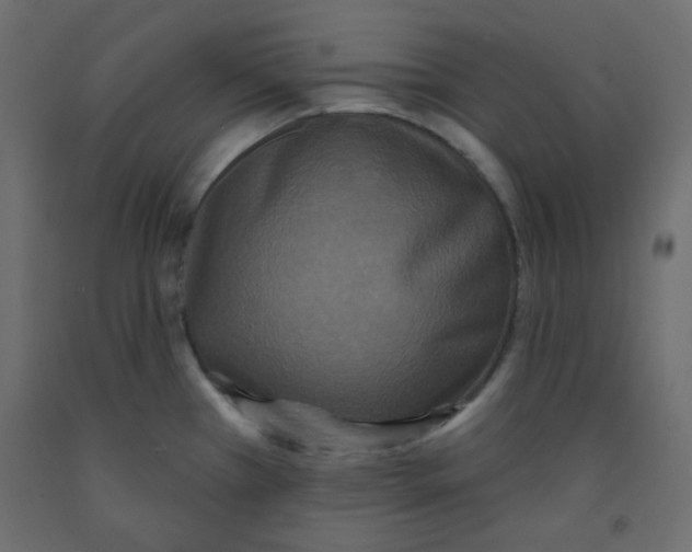 X0000092321385200710121514