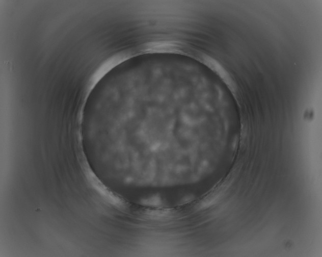 X0000092321386200710121514