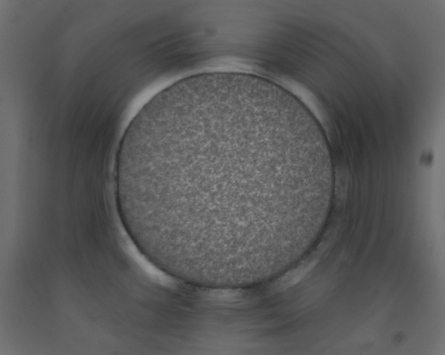 X0000092321387200710121514