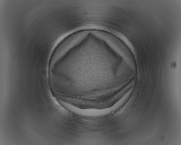X0000092321388200710121514