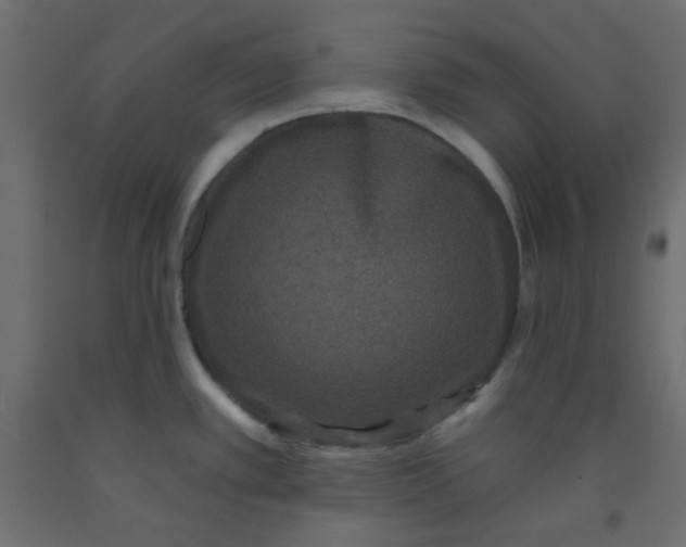 X0000092321389200710121514
