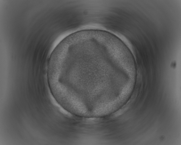 X0000092321390200710121514
