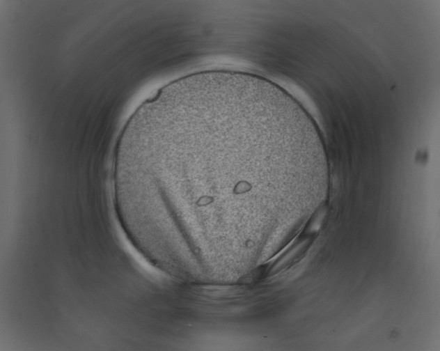 X0000092321391200710121514