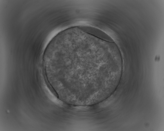 X0000092321392200710121514