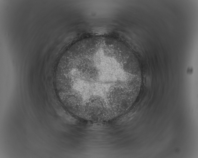 X0000092321393200710121513
