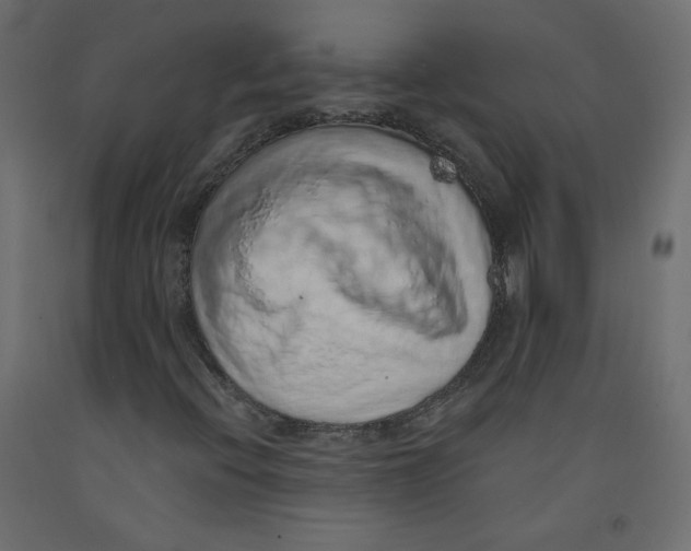 X0000092321396200710121513