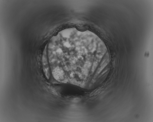 X0000092321397200710121513