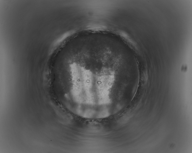X0000092321398200710121513