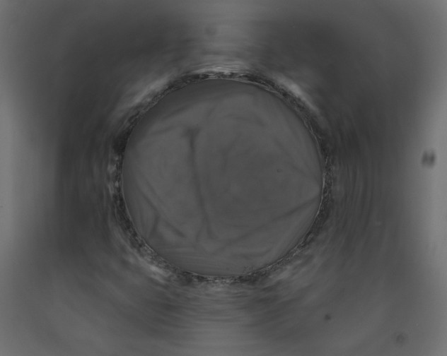 X0000092321399200710121513