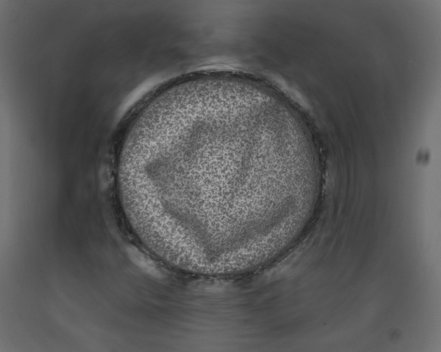 X0000092321400200710121513