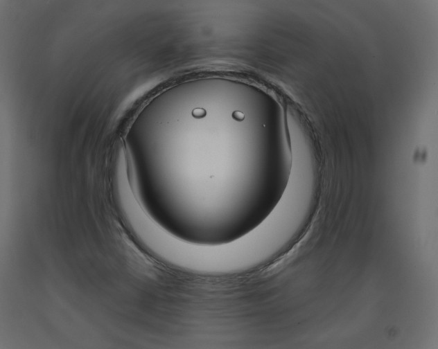 X0000092321402200710121513