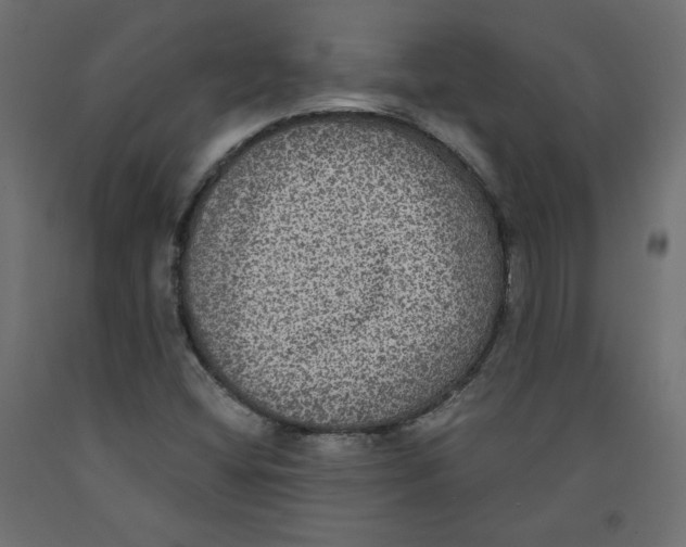 X0000092321404200710121513