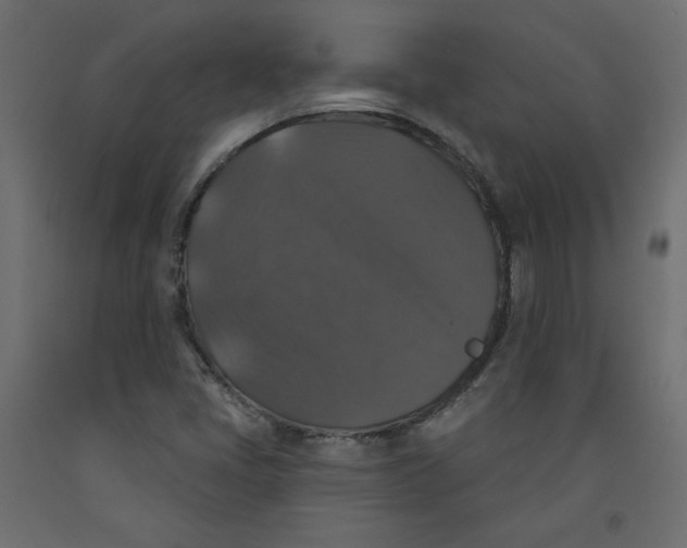 X0000092321405200710121513