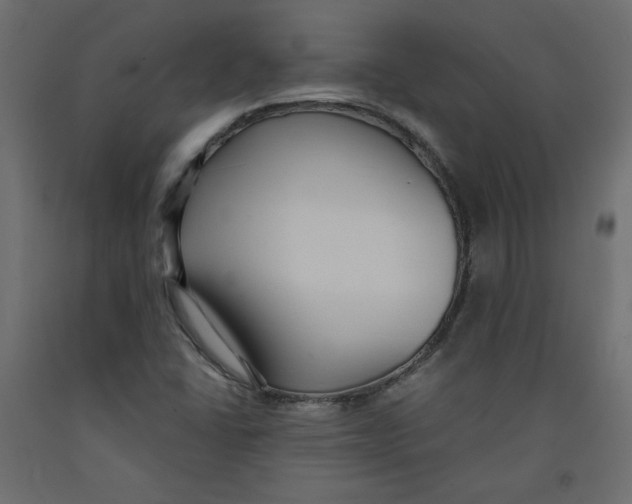 X0000092321406200710121513