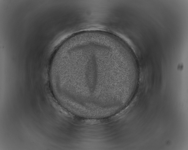 X0000092321407200710121513