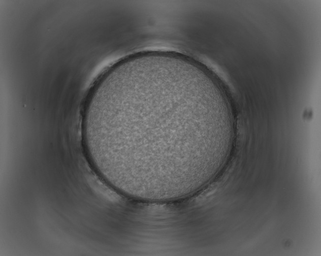 X0000092321408200710121513