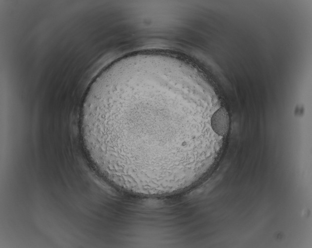 X0000092321409200710121513